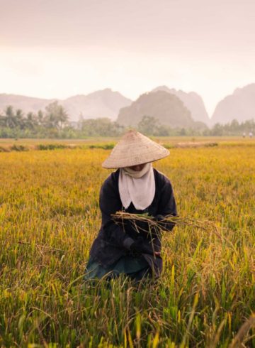 backpacking vietnam article