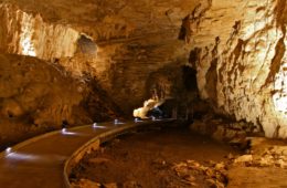 glow worm caves articles