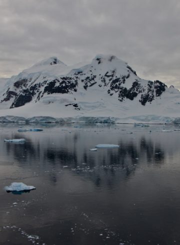 paradise bay antarctica articles