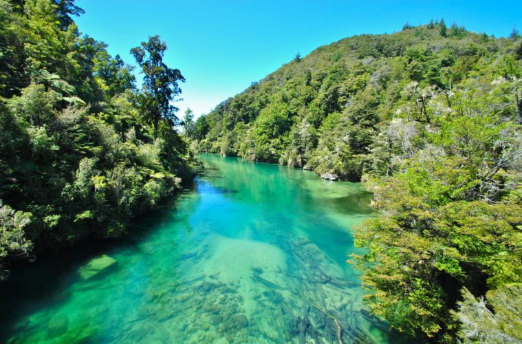 south island new zealand articles