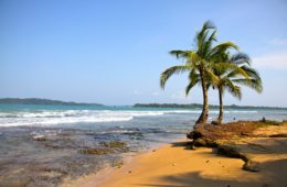 things to do in bocas del toro article