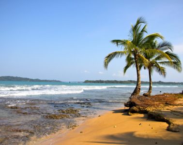 things to do in bocas del toro article