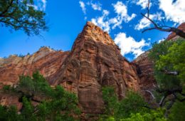 zion national park hikes article